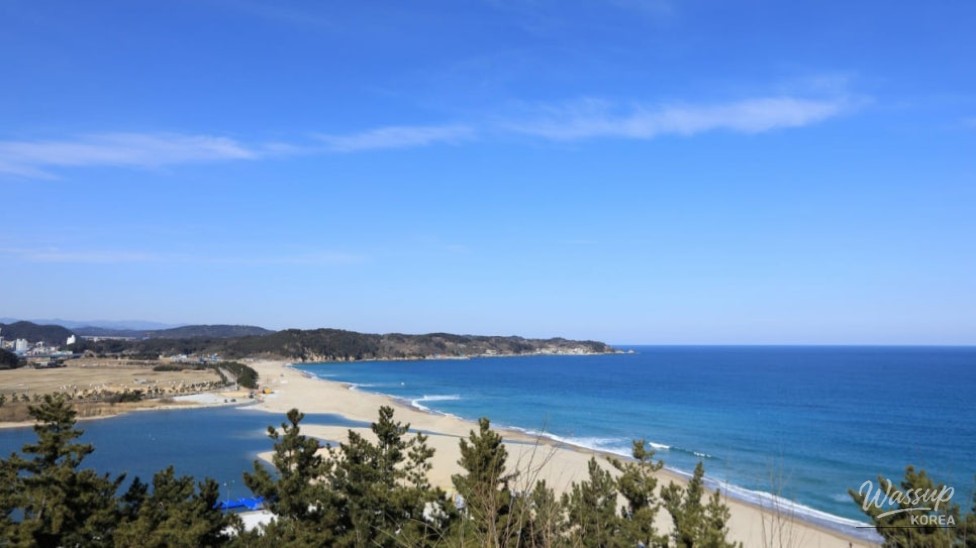 Exploring the Beauty of Uljin: A Perfect Summer Getaway_02
