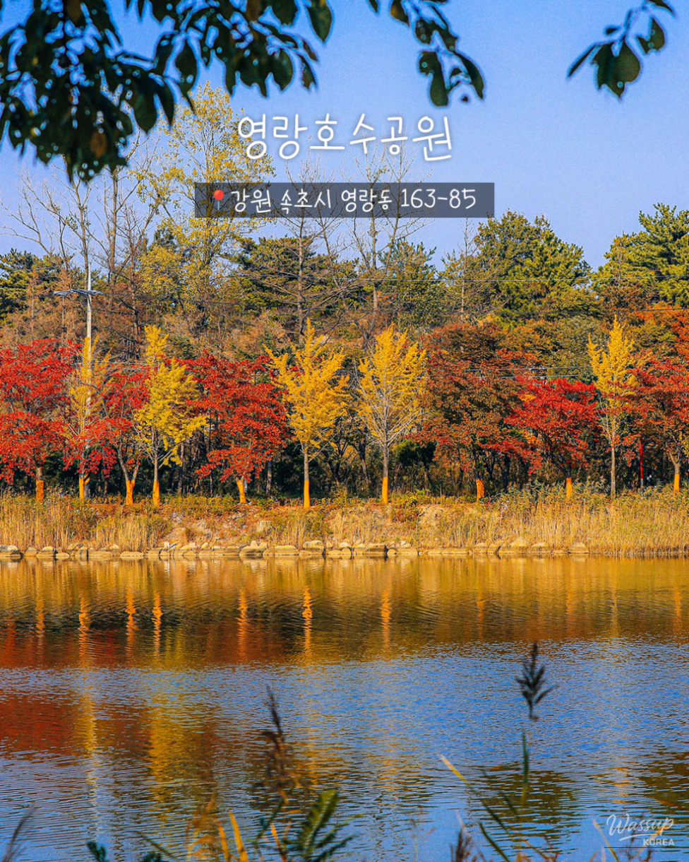 Exploring the Scenic Beauty of Sokcho_07