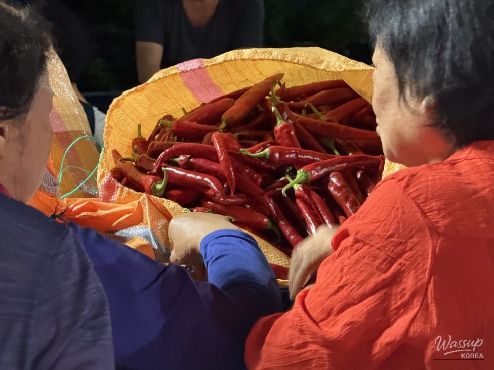 Exploring the Unique Red Pepper Market in Goesan_17