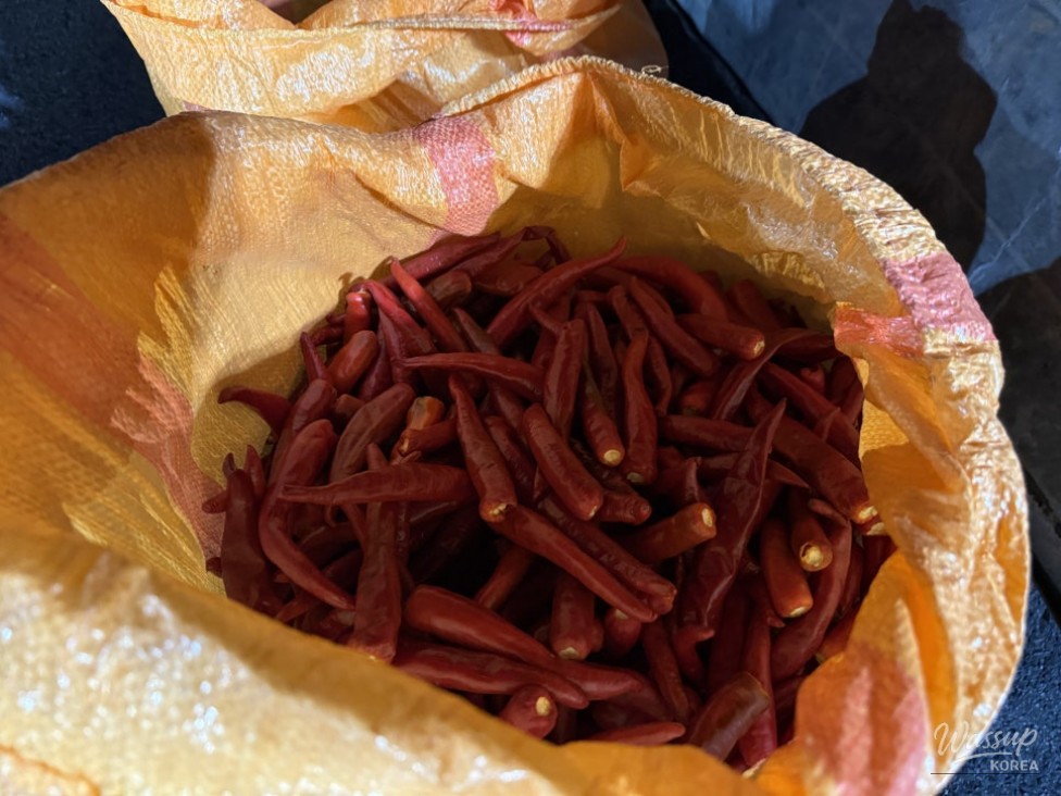 Exploring the Unique Red Pepper Market in Goesan_13