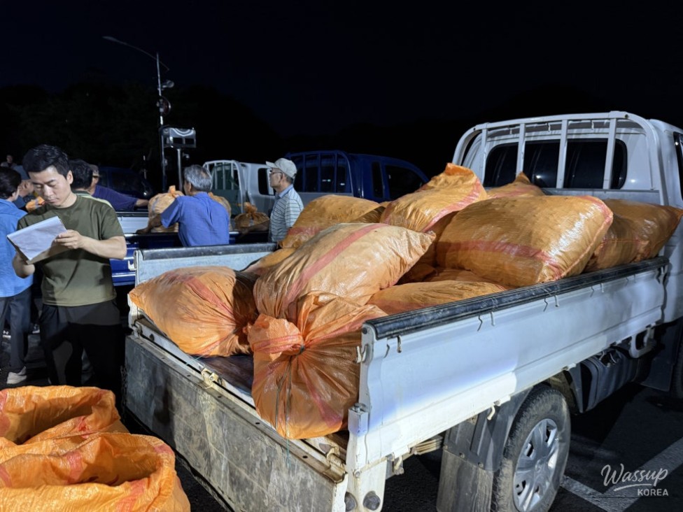 Exploring the Unique Red Pepper Market in Goesan_12