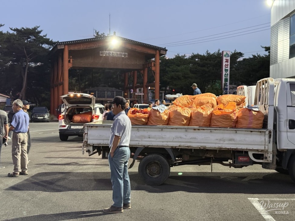 Exploring the Unique Red Pepper Market in Goesan_10