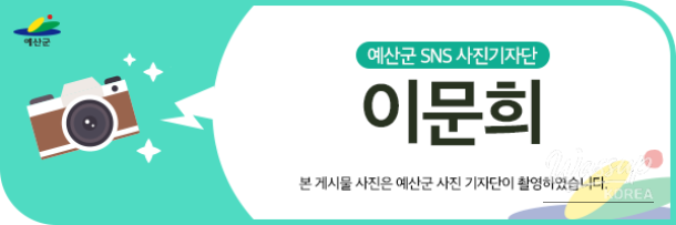Relax and Rejuvenate at Deoksan Hot Spring Foot Bath_20