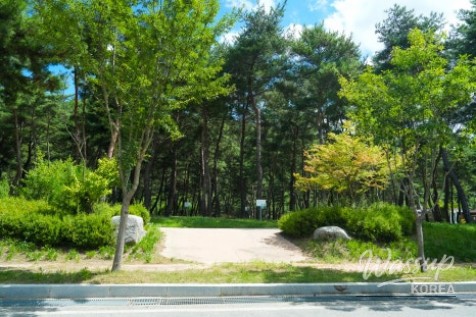 A Relaxing Camping Experience at Yeongjuho Auto Camping Site_03