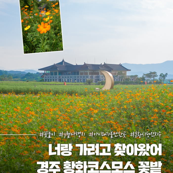 Experience the Autumn Beauty of Gyeongju