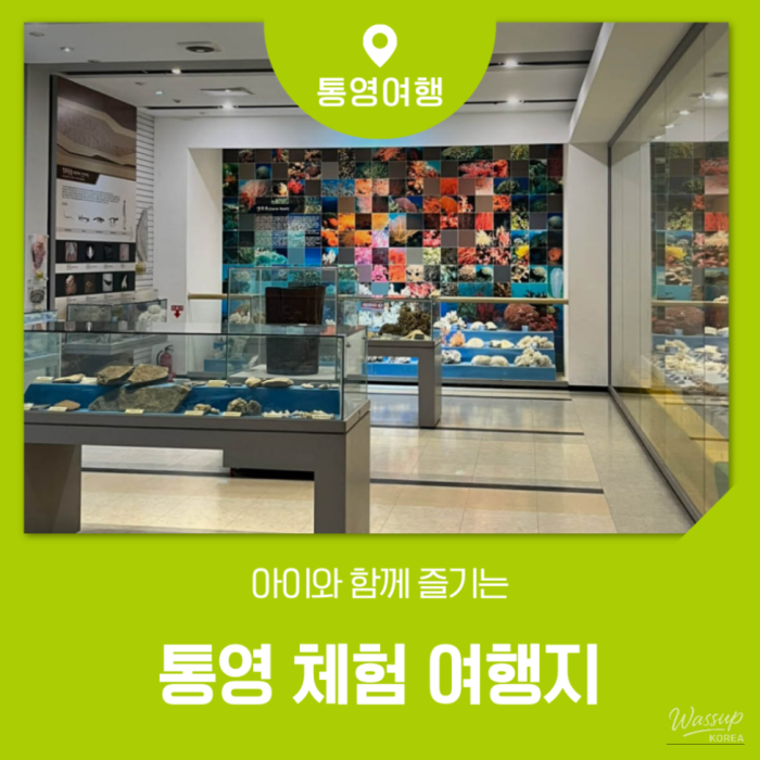 Exploring Tongyeong: A Family-Friendly Travel Guide for September