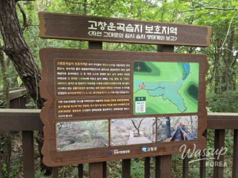 Exploring the Green Wetlands: A Journey through Gochang Ungok Wetland Ecological Trail_19