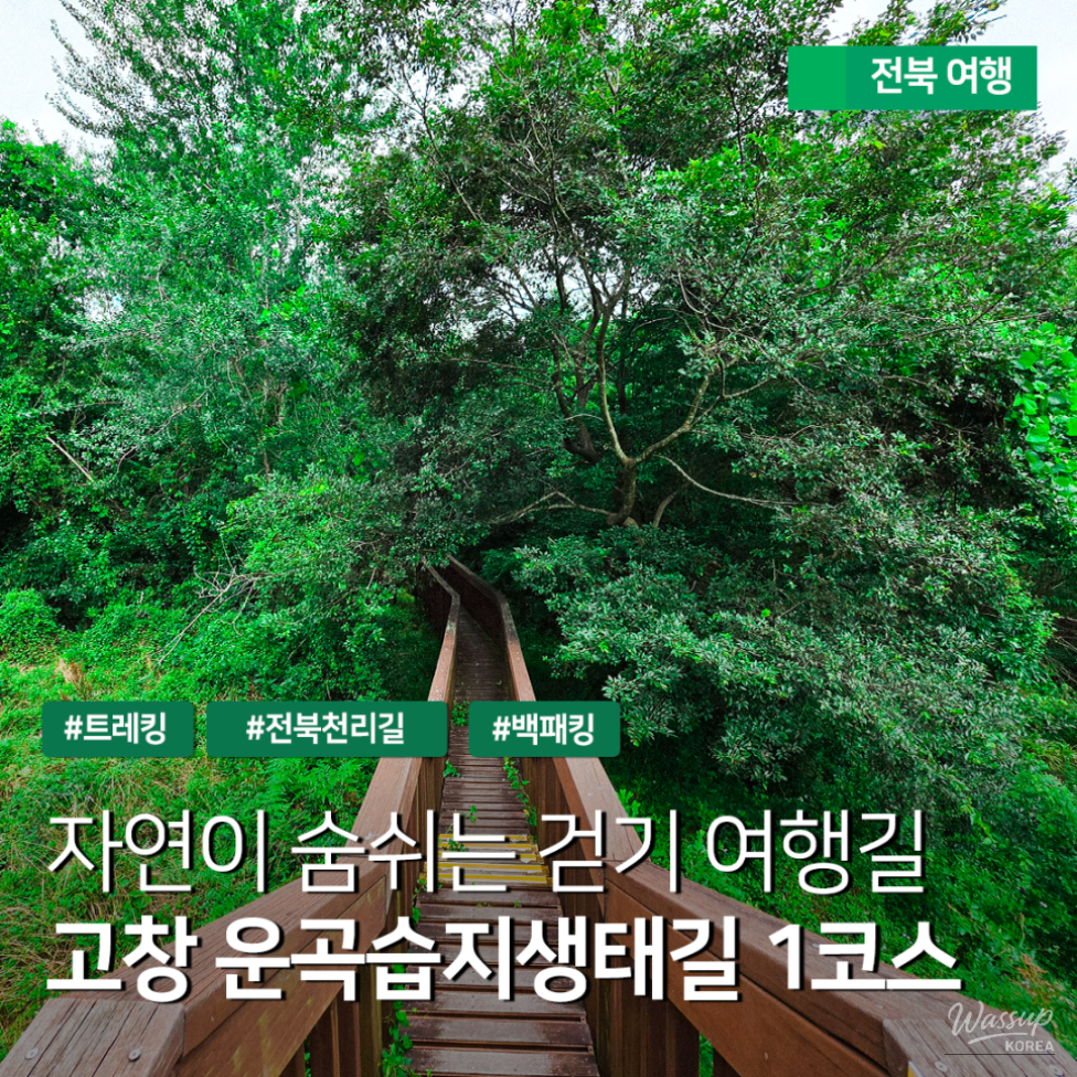 Exploring the Green Wetlands: A Journey through Gochang Ungok Wetland Ecological Trail_37
