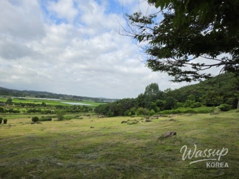 Exploring the Green Wetlands: A Journey through Gochang Ungok Wetland Ecological Trail_06