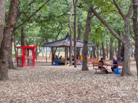 A Relaxing Walk in Gyeongju Hwangseong Park_04
