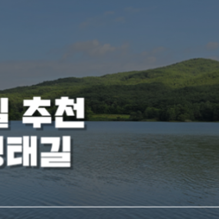 Exploring the Green Wetlands: A Journey through Gochang Ungok Wetland Ecological Trail