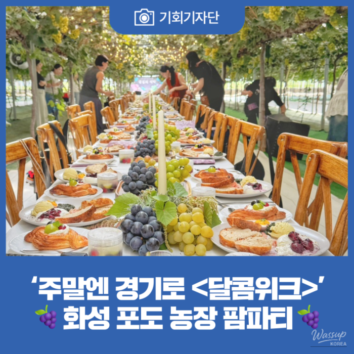 Exploring the Sweet Delights of Gyeonggi Province
