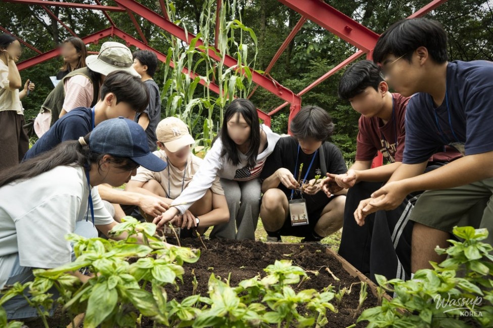Empowering Youth Through the 'From Seed to Sharing' Growth Project_03