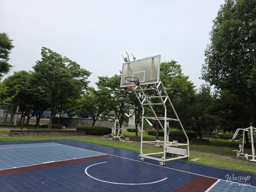 Discovering the Vibrant Jincheon Park_03