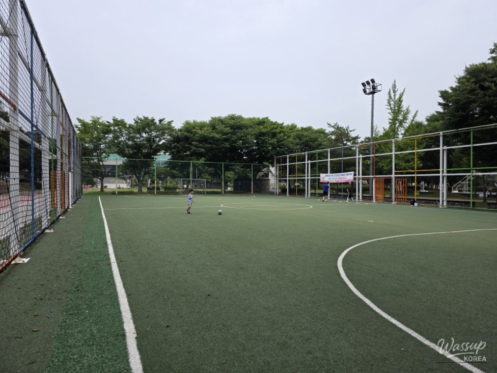 Discovering the Vibrant Jincheon Park_12