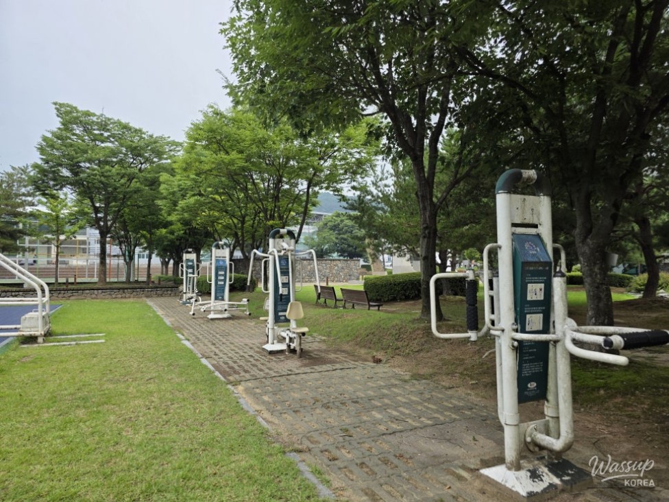 Discovering the Vibrant Jincheon Park_06