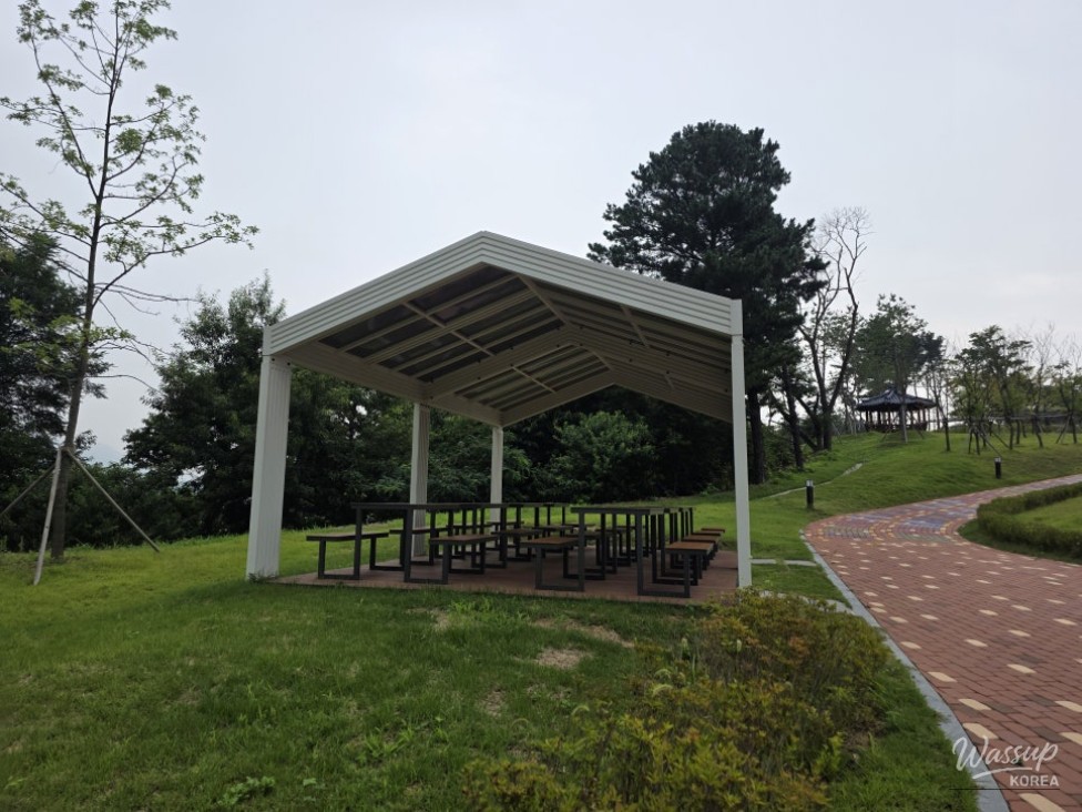 Discovering the Tranquil Jincheon Park_10