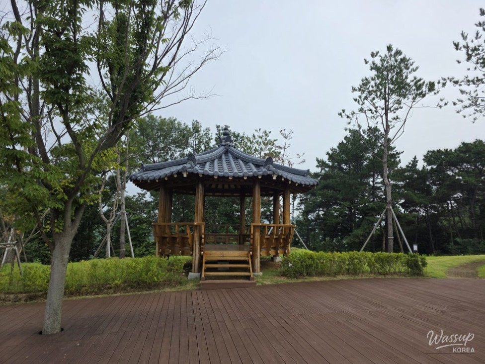 Discovering the Tranquil Jincheon Park_05