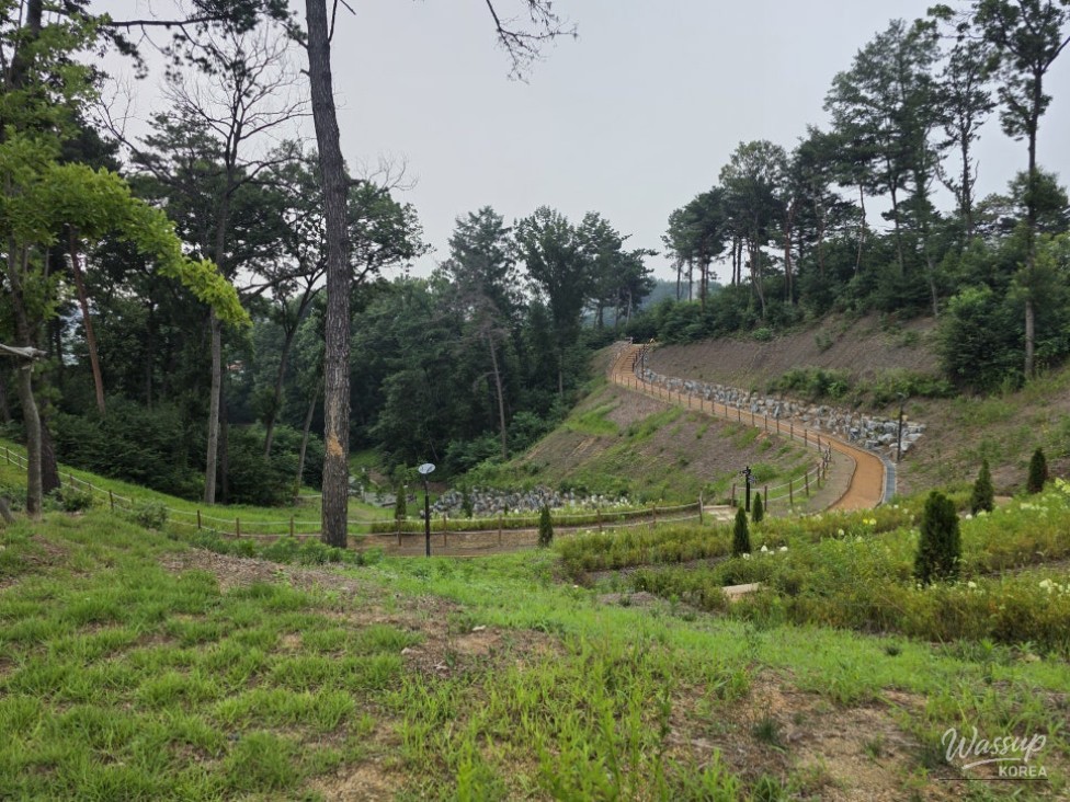 Discovering the Tranquil Jincheon Park_15