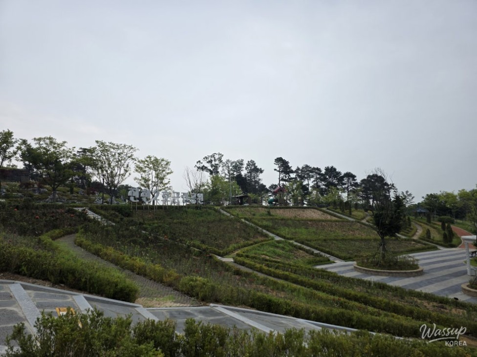 Discovering the Tranquil Jincheon Park_11