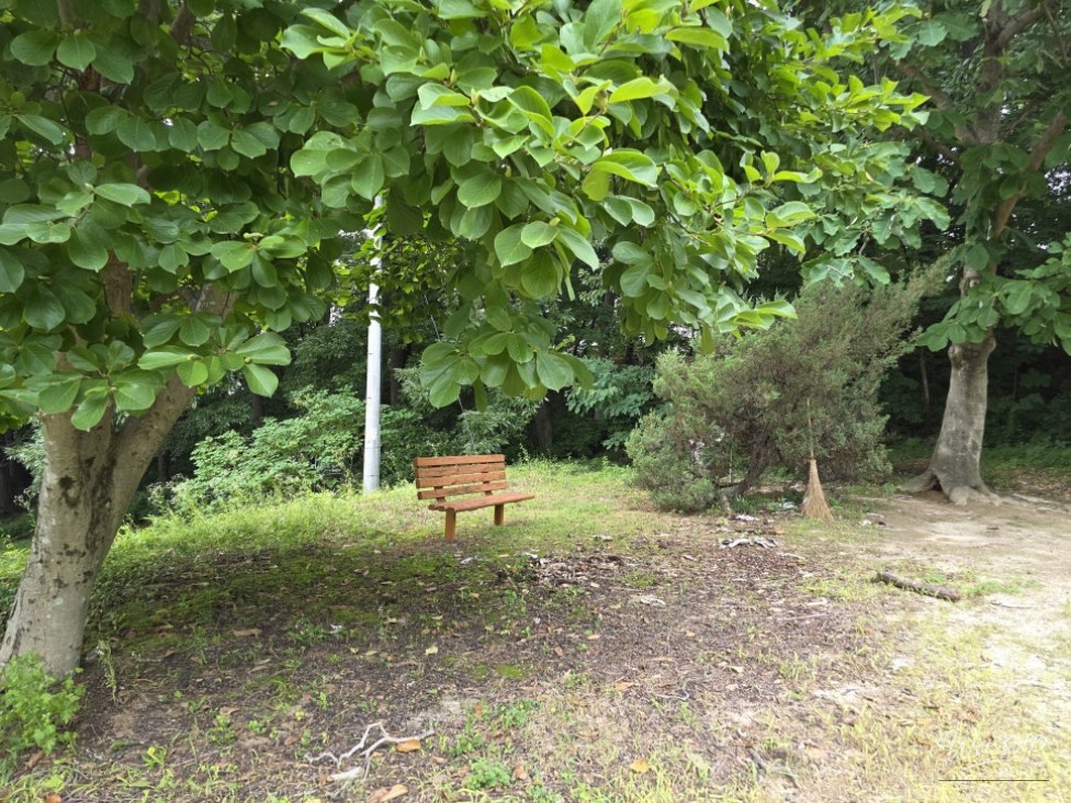 Discover the Hidden Oasis of Jincheon Park_03