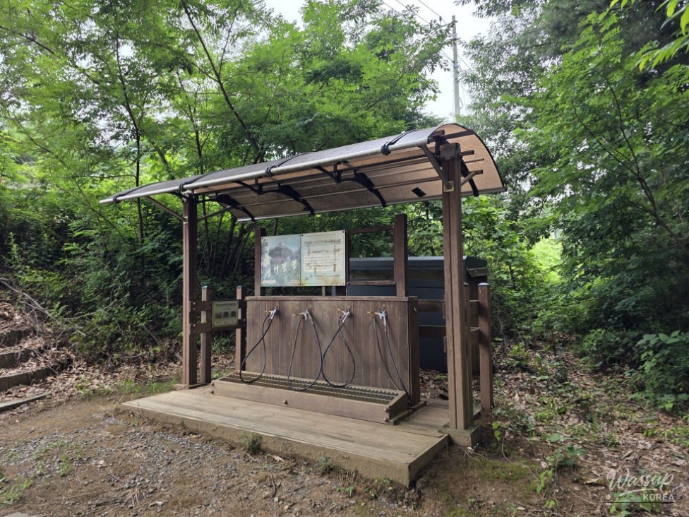 Discover the Hidden Oasis of Jincheon Park_15