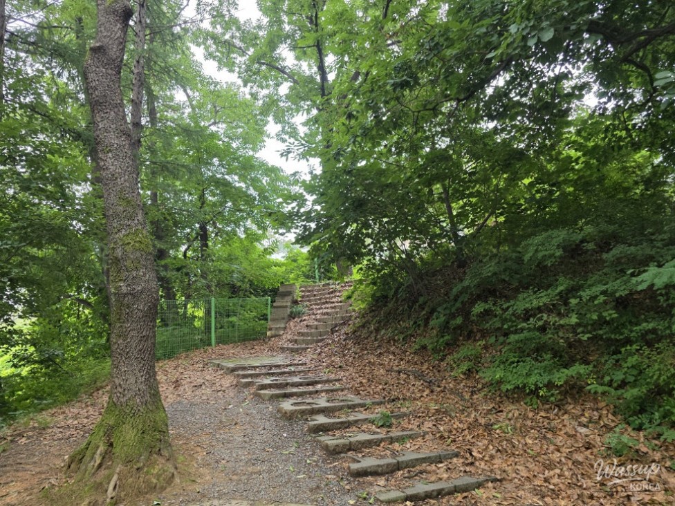 Discover the Hidden Oasis of Jincheon Park_13