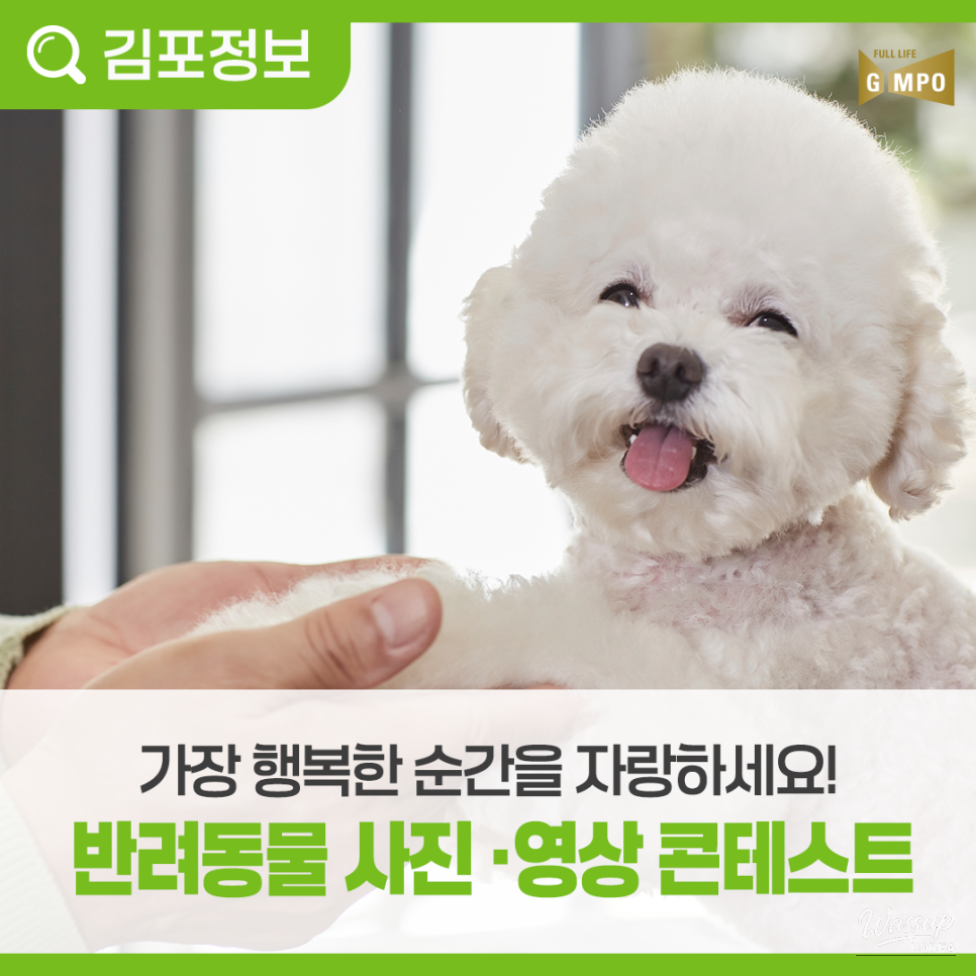 2026 Gimpo City Pet Photo and Video Contest_04