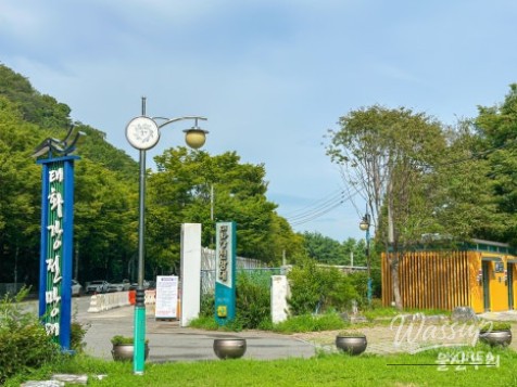 Exploring the Taehwa River Observatory in Ulsan_03