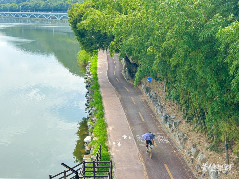 Exploring the Taehwa River Observatory in Ulsan_02