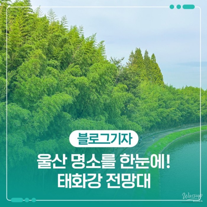 Exploring the Taehwa River Observatory in Ulsan