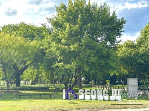 Exploring the Serene Beauty of Seongju Gyeongsan-ri Forest_02