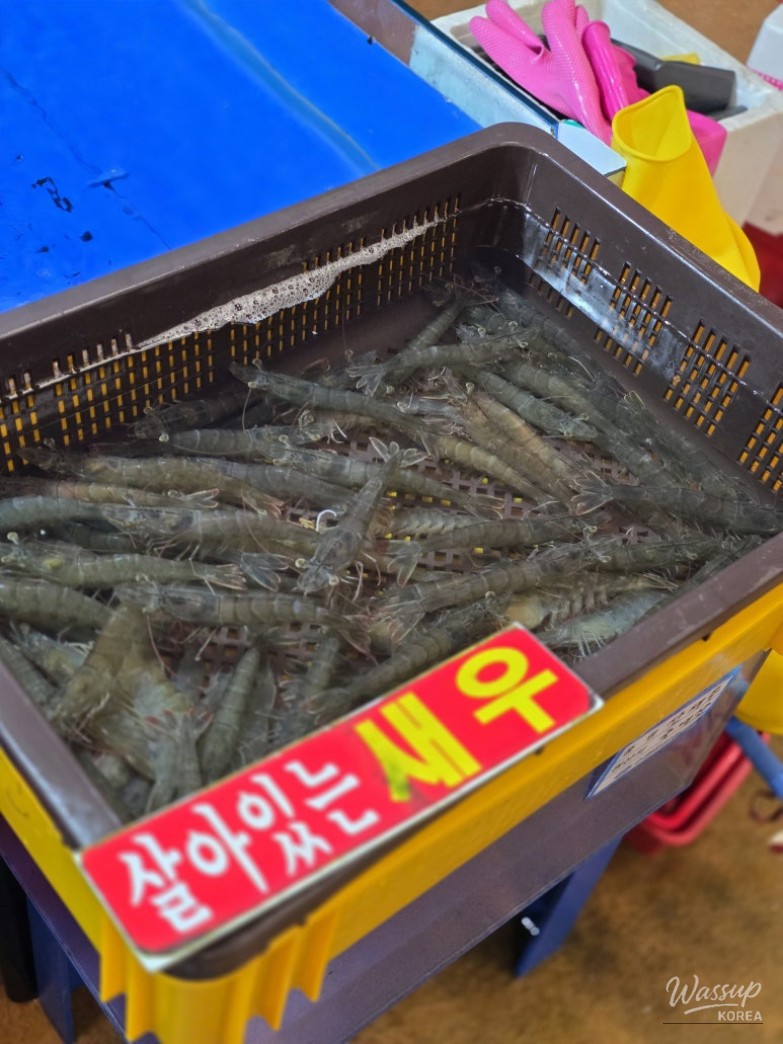 A Delightful Seafood Experience at Noryangjin Fish Market_04
