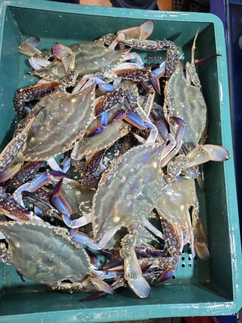 A Delightful Seafood Experience at Noryangjin Fish Market_03