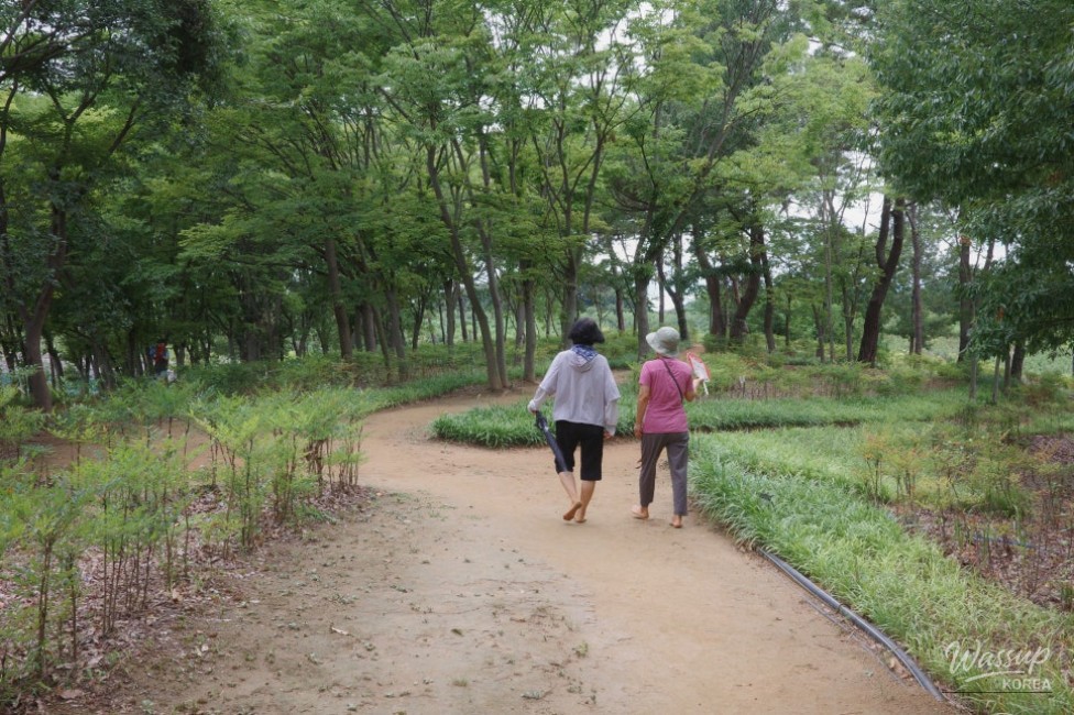 Discovering the Hidden Gem of Manggari Yellow Clay Path_02