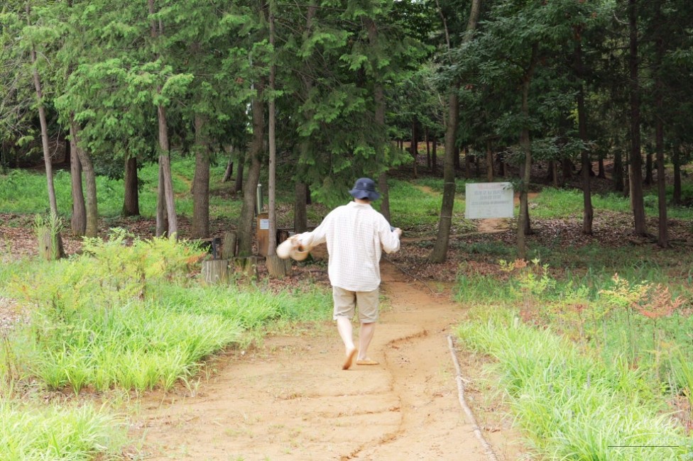 Discovering the Hidden Gem of Manggari Yellow Clay Path_03