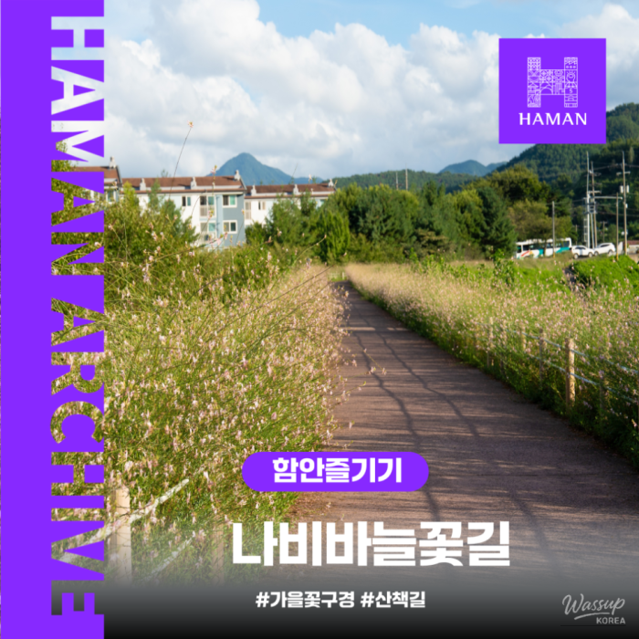 Exploring the Beautiful Butterfly Flower Path in Hamann
