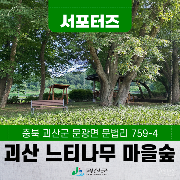 Exploring the Neutinamu Village Forest in Geosan