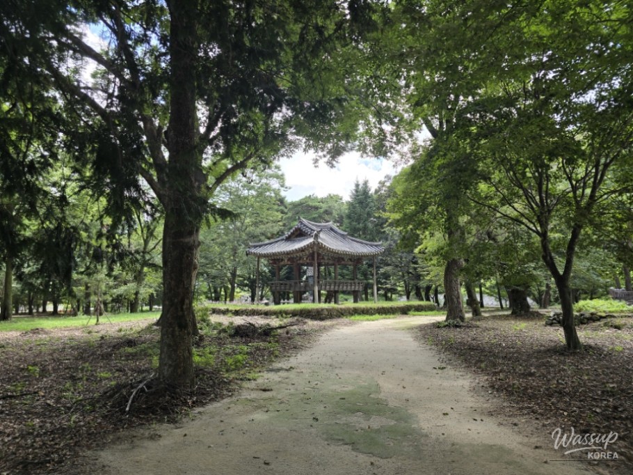 Exploring the Serene Beauty of Gochang's Galkye Forest_07