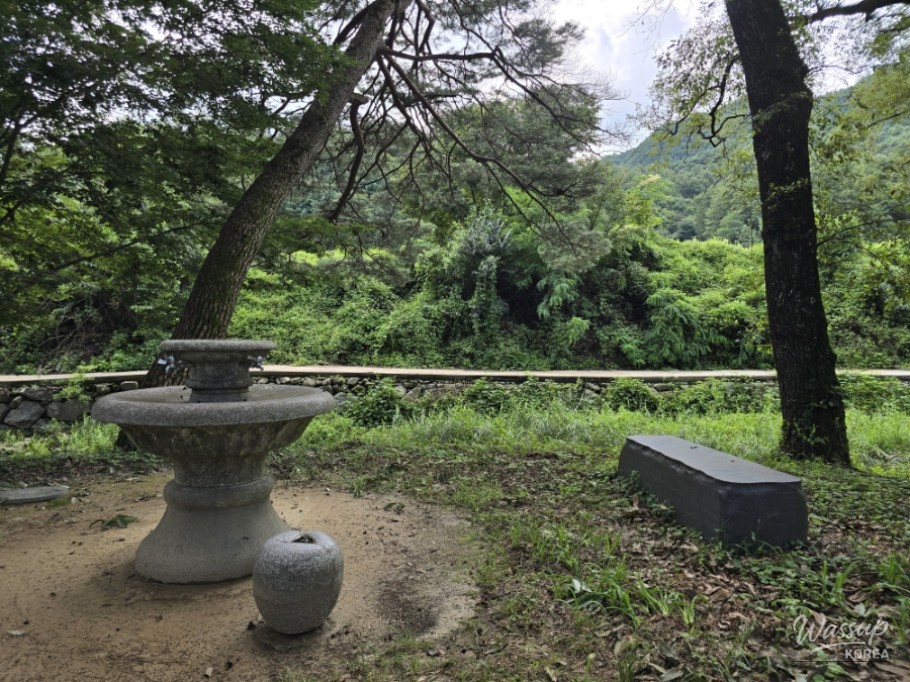 Exploring the Serene Beauty of Gochang's Galkye Forest_13