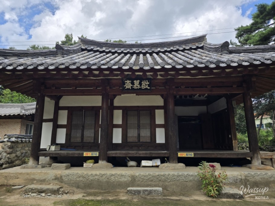 Exploring the Serene Beauty of Gochang's Galkye Forest_29