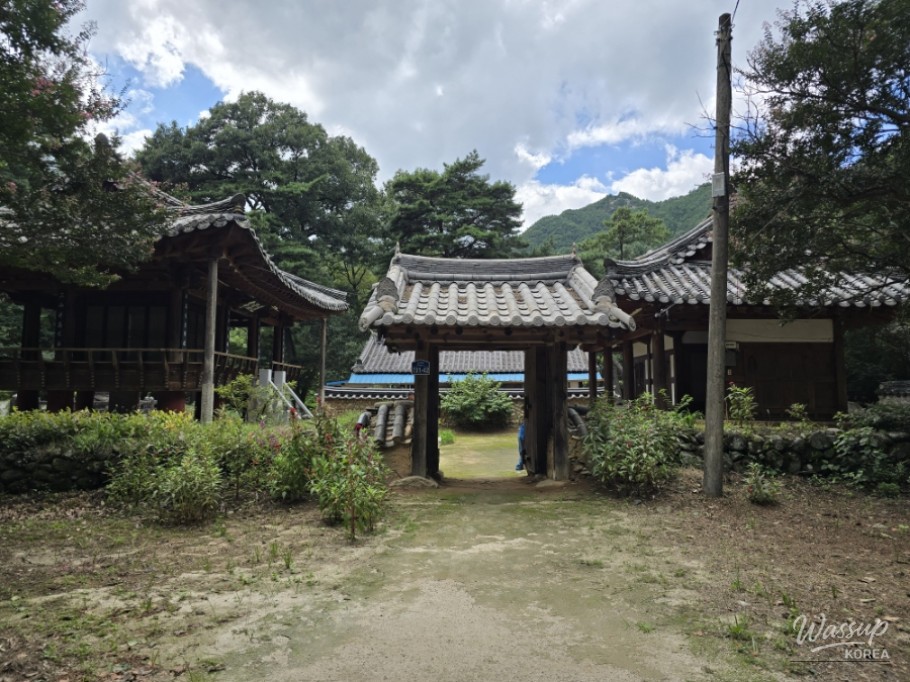 Exploring the Serene Beauty of Gochang's Galkye Forest_27