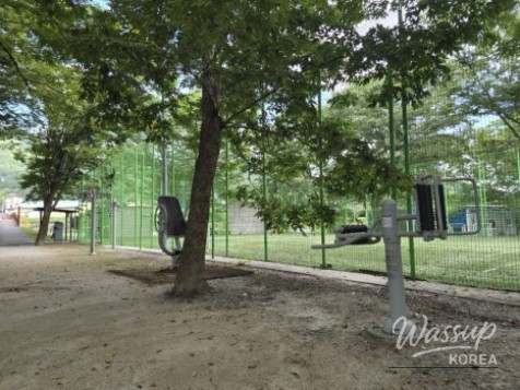 Exploring the Serene Beauty of Gochang's Galkye Forest_25