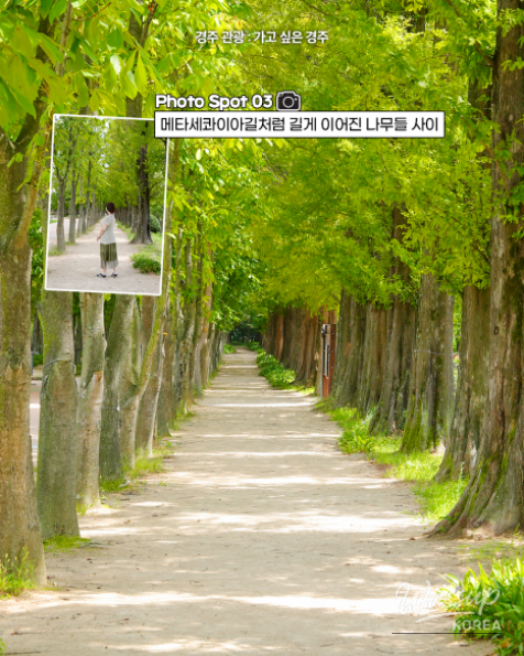 Discover the Beauty of Gyeongju's Millennium Forest Garden_05
