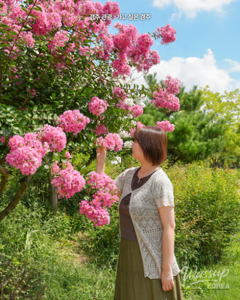 Discover the Beauty of Gyeongju's Millennium Forest Garden_07