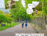 Discover the Beauty of Gyeongju's Millennium Forest Garden