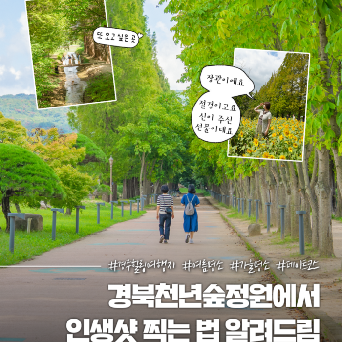 Discover the Beauty of Gyeongju's Millennium Forest Garden