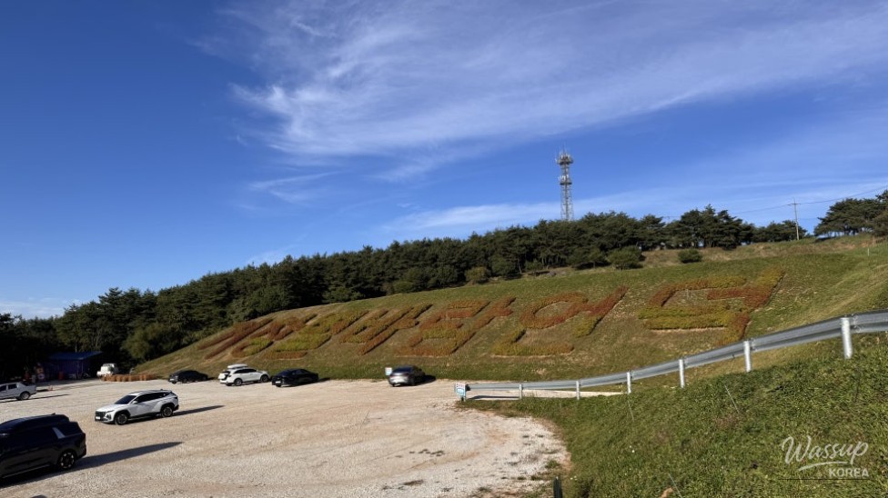 Exploring the Vibrant Autumn at Gamak Mountain_01