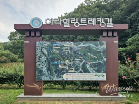 Exploring the Tranquil Ipgok National Park in Hamann_05