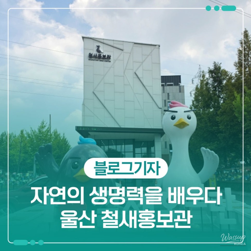 Exploring the Migratory Bird Promotion Center in Ulsan_01